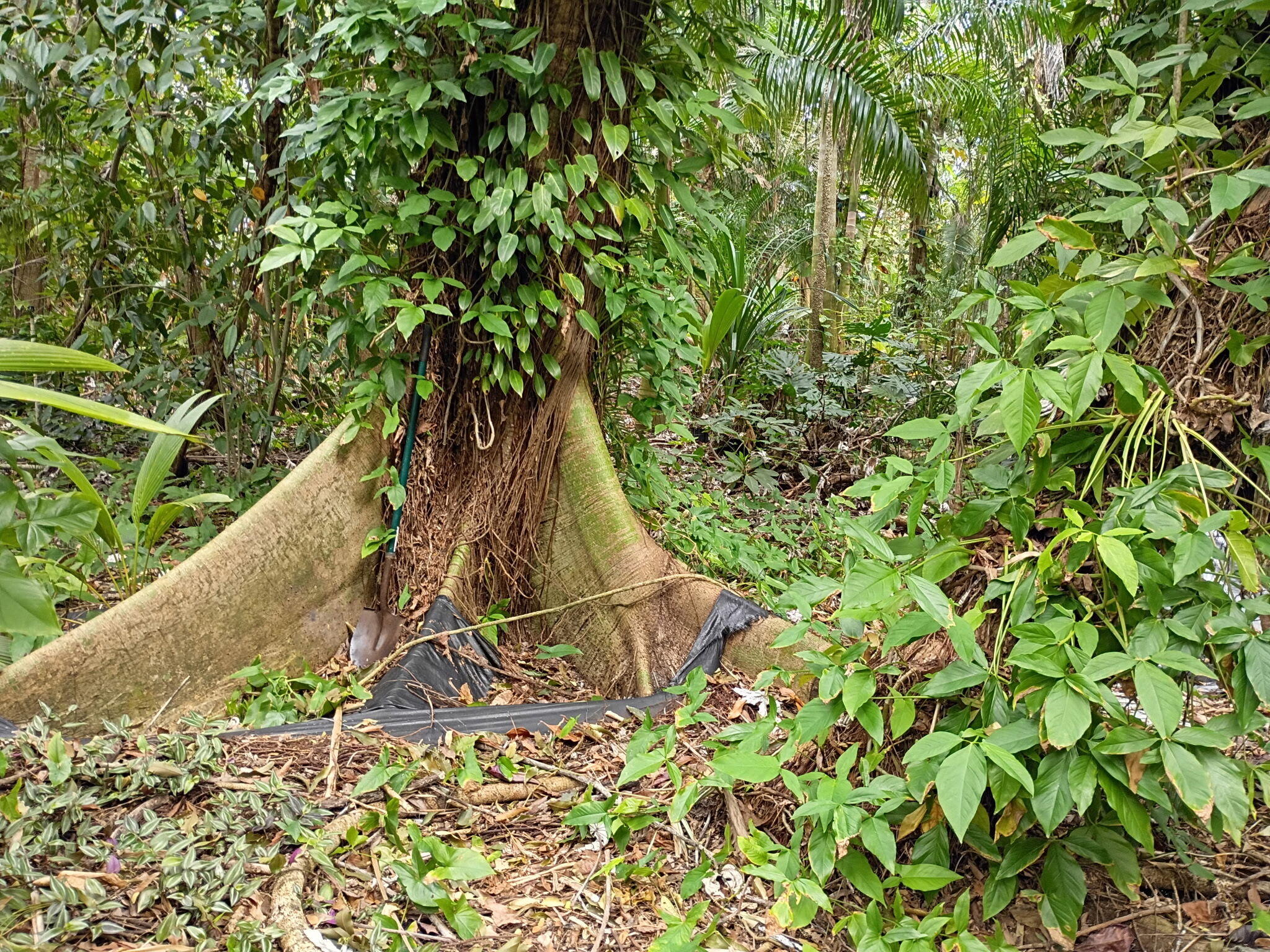 Jupiter Farms - Land