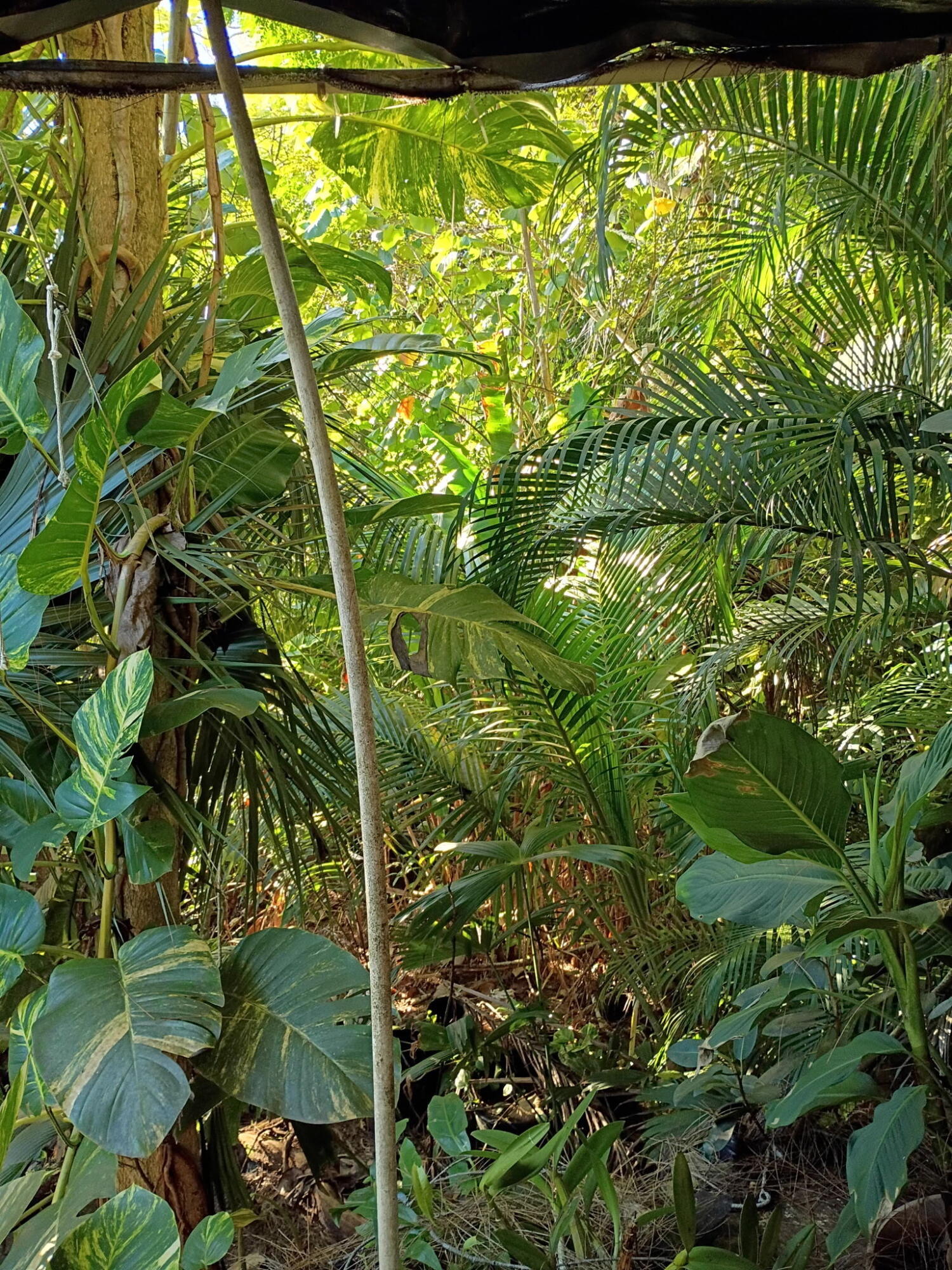 Jupiter Farms - Land