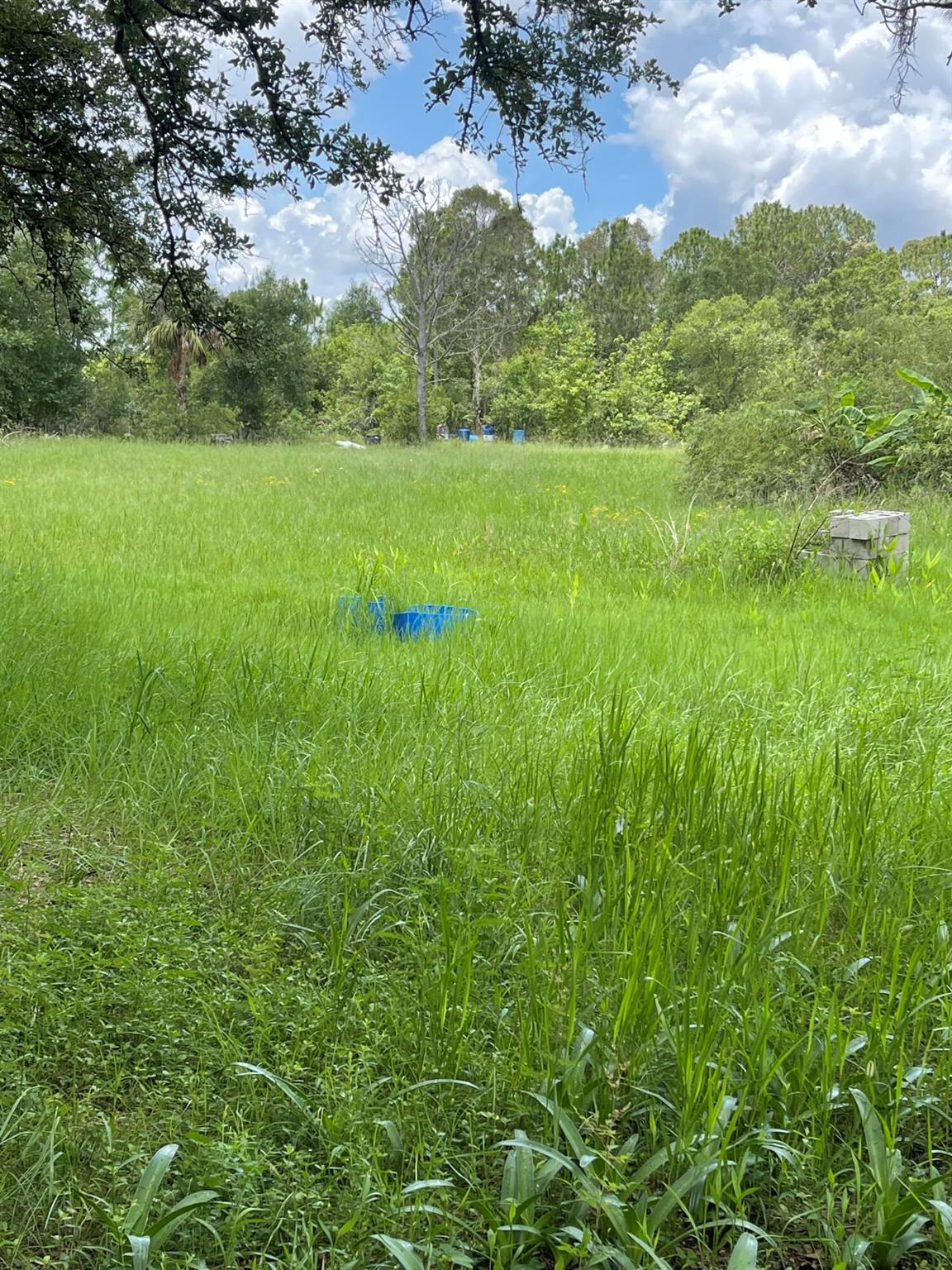 LADECA ACRES S/D UNREC SE - Land