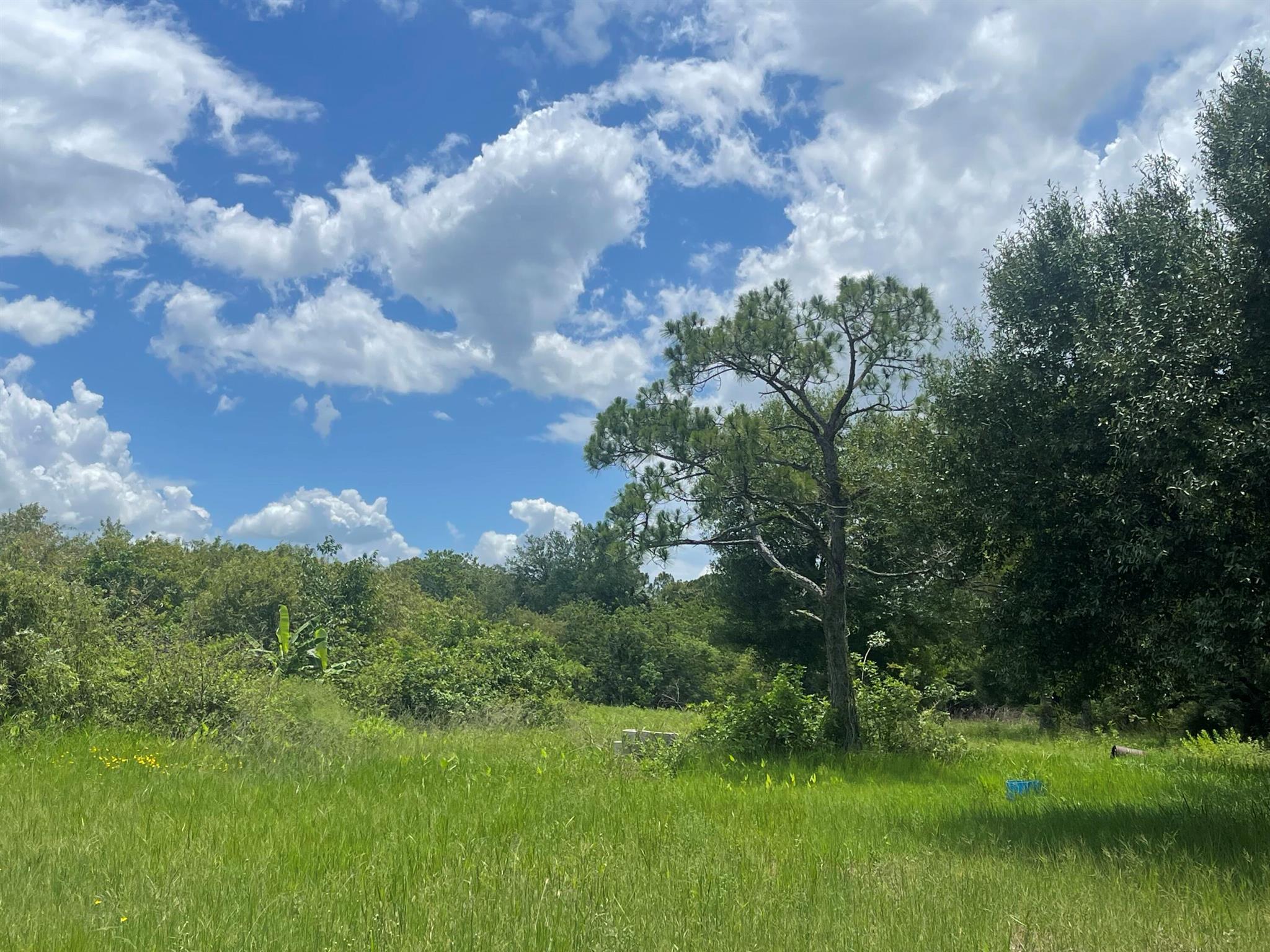 LADECA ACRES S/D UNREC SE - Land