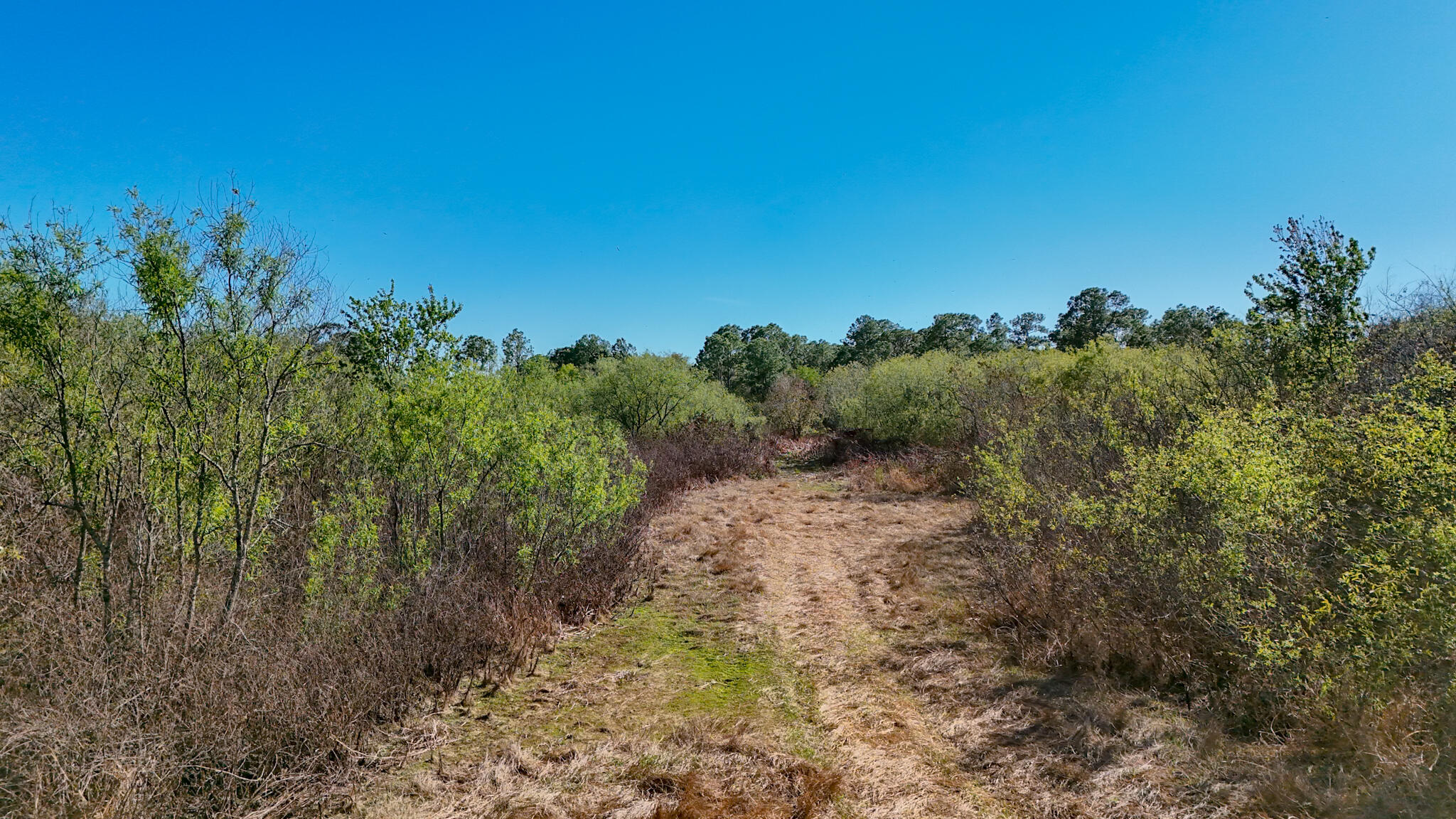 LADECA ACRES S/D UNREC SEC 29 - Land