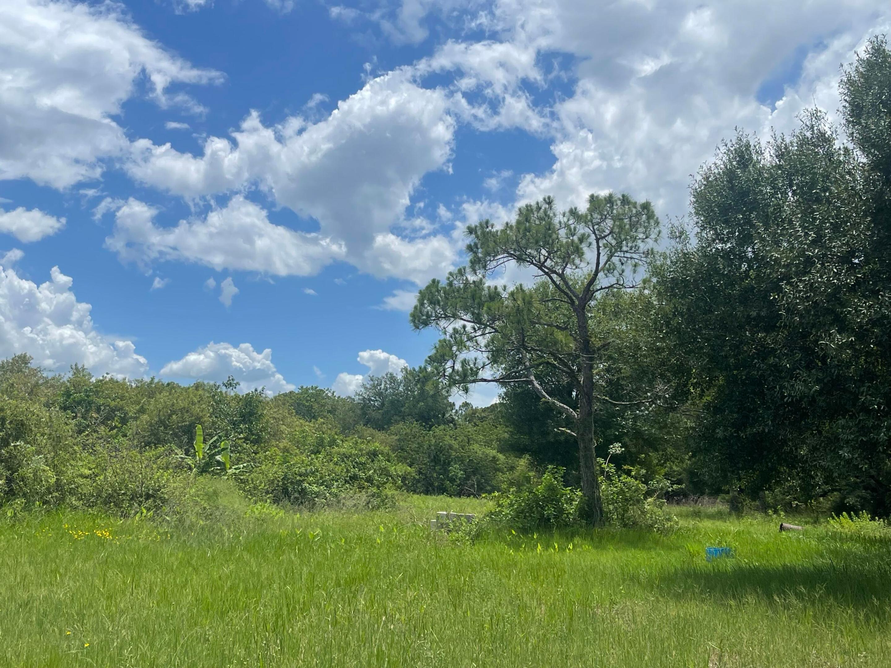 LADECA ACRES S/D UNREC SEC 29 - Land