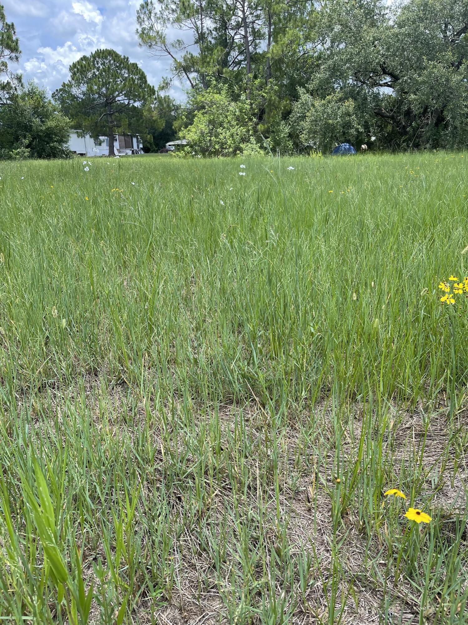 LADECA ACRES S/D UNREC SEC 29 - Land