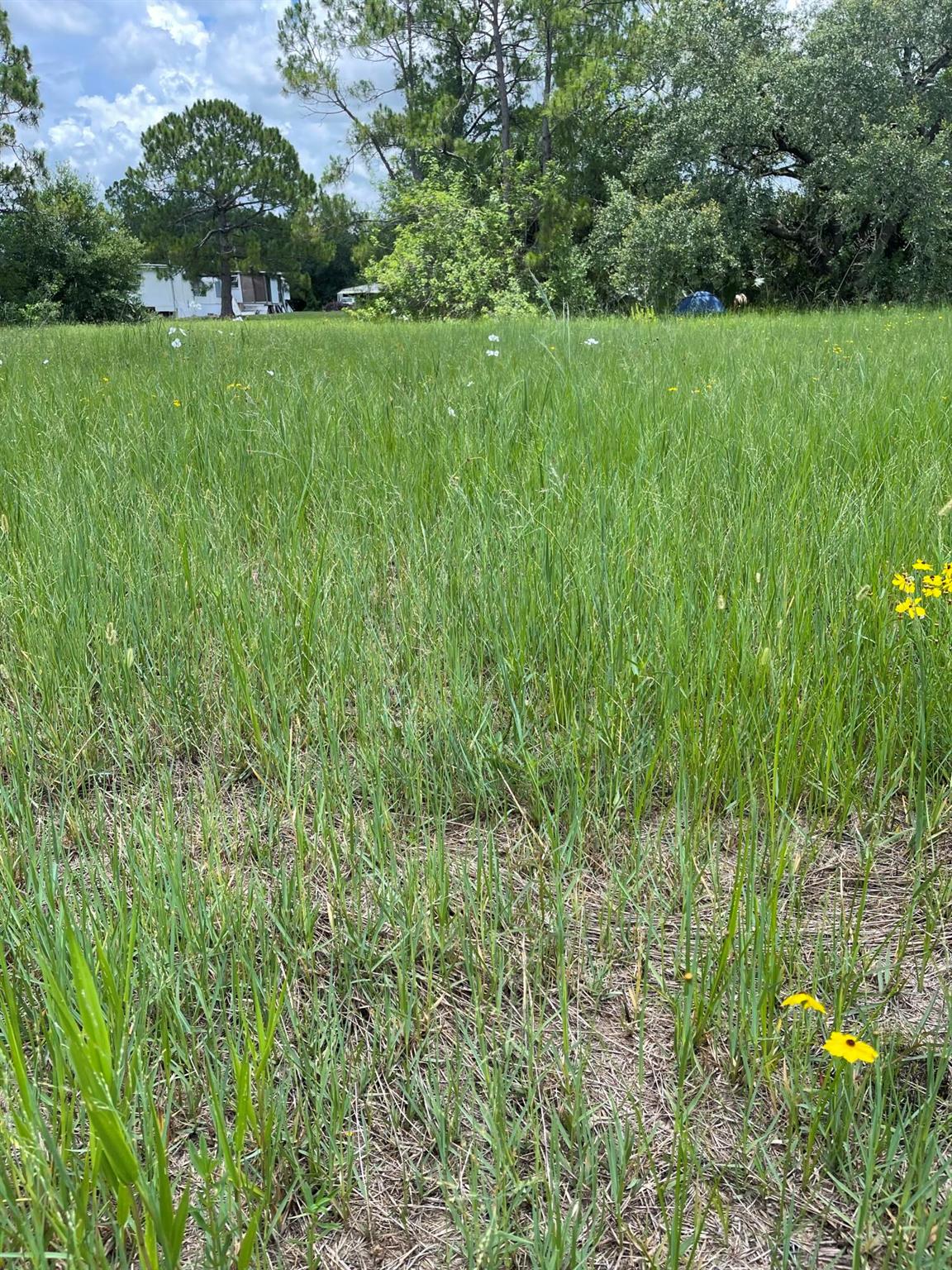 LADECA ACRES S/D UNREC SE - Land