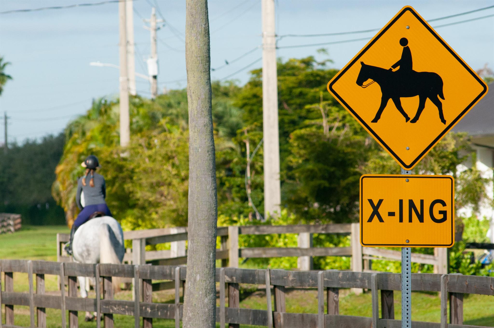 NORTH SHORE ADD TO P B IN - Residential