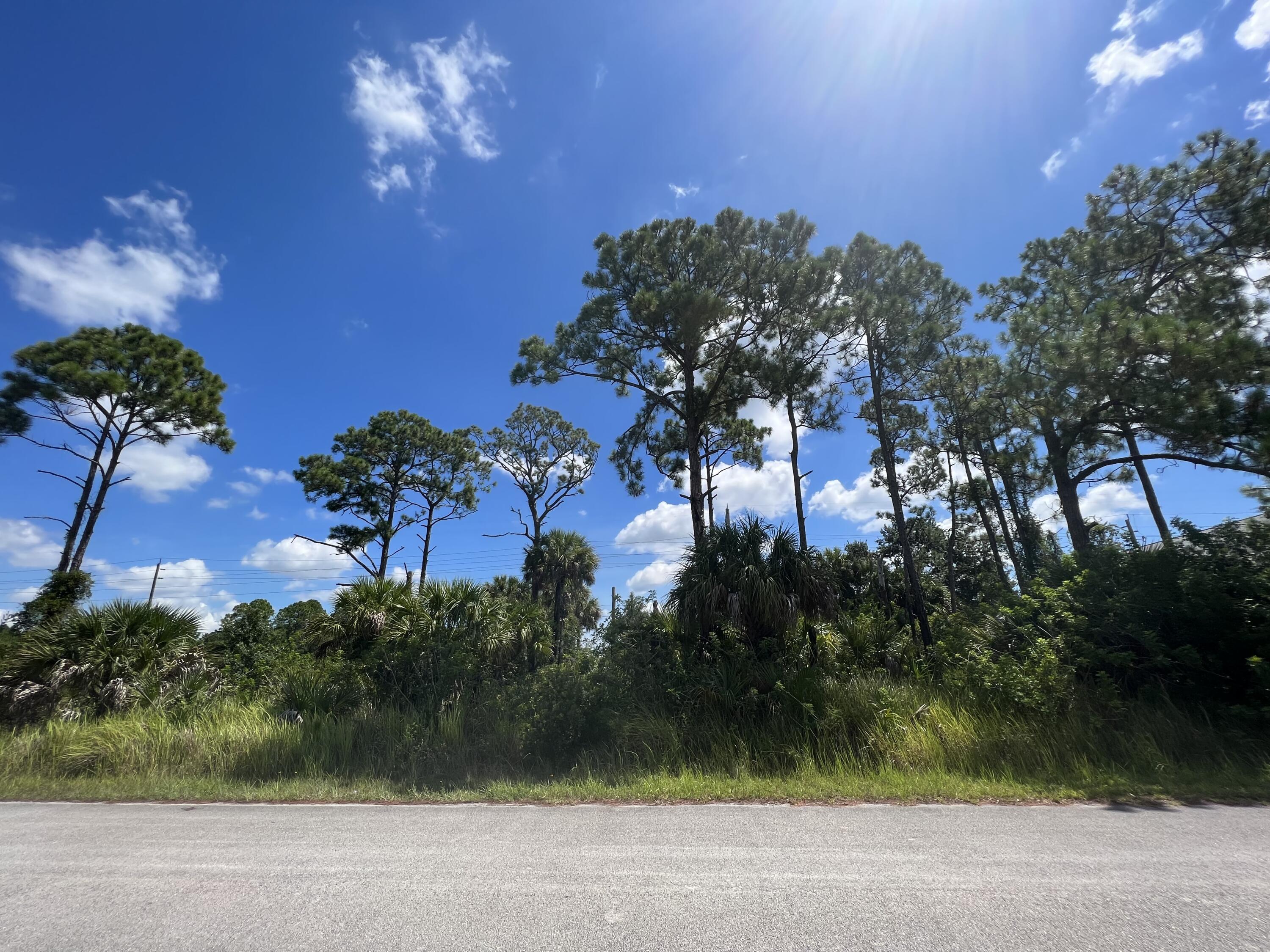 Spacious 0.23 acre lot .Perfect for a buyer looking to invest in the area or build a beautiful home on it. No HOA