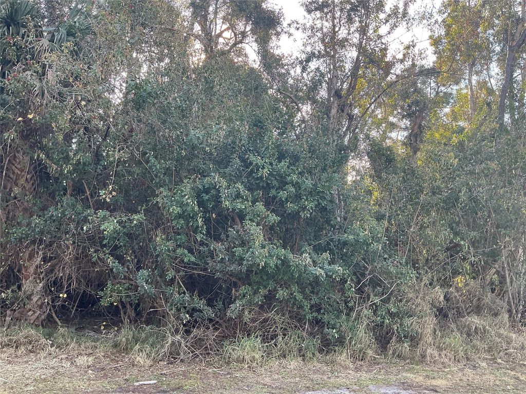 Photo of 557 Drawdy Way, Sebastian, FL 32958 (MLS # F10555031)