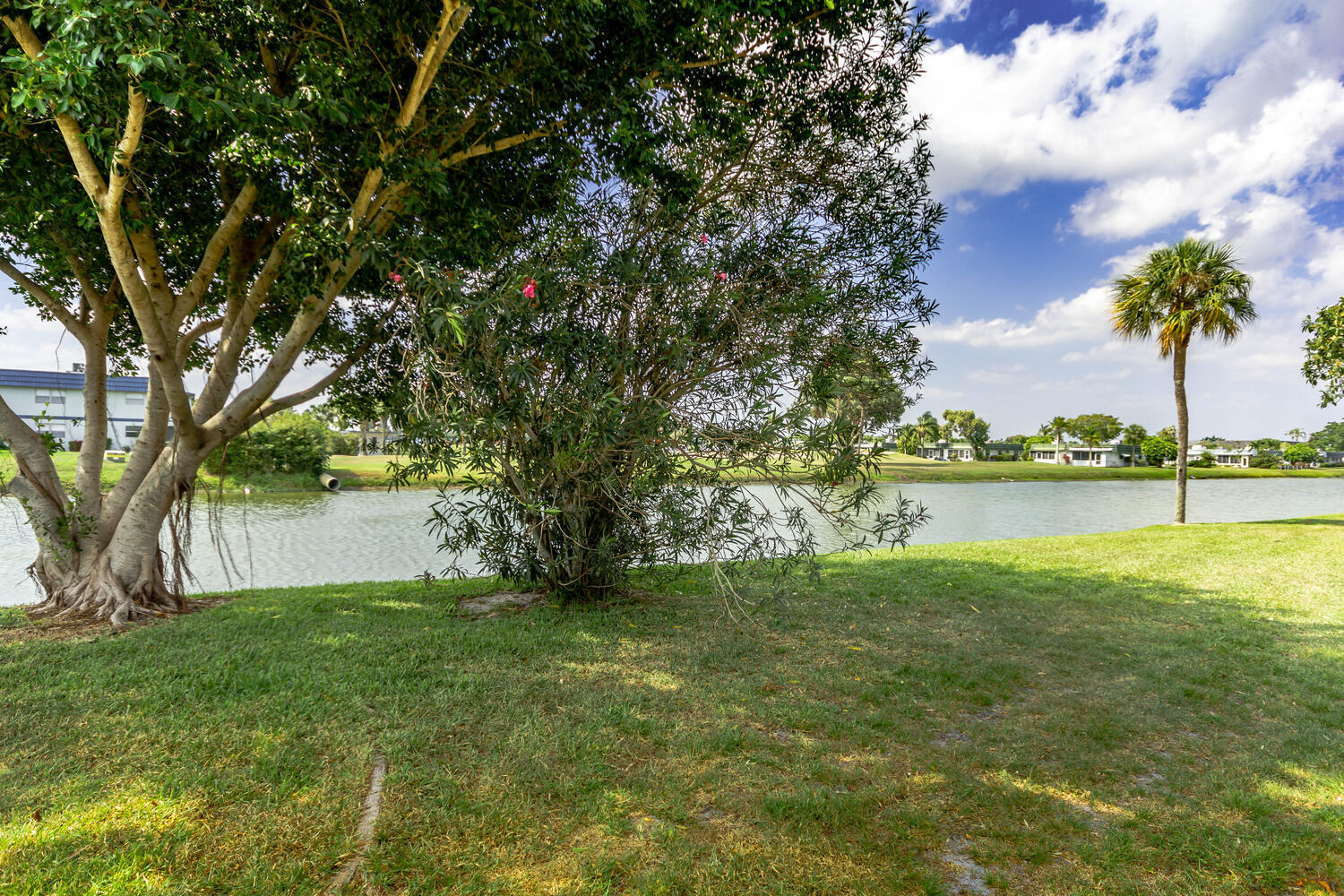 KINGS POINT SEVILLE CONDOS - Residential