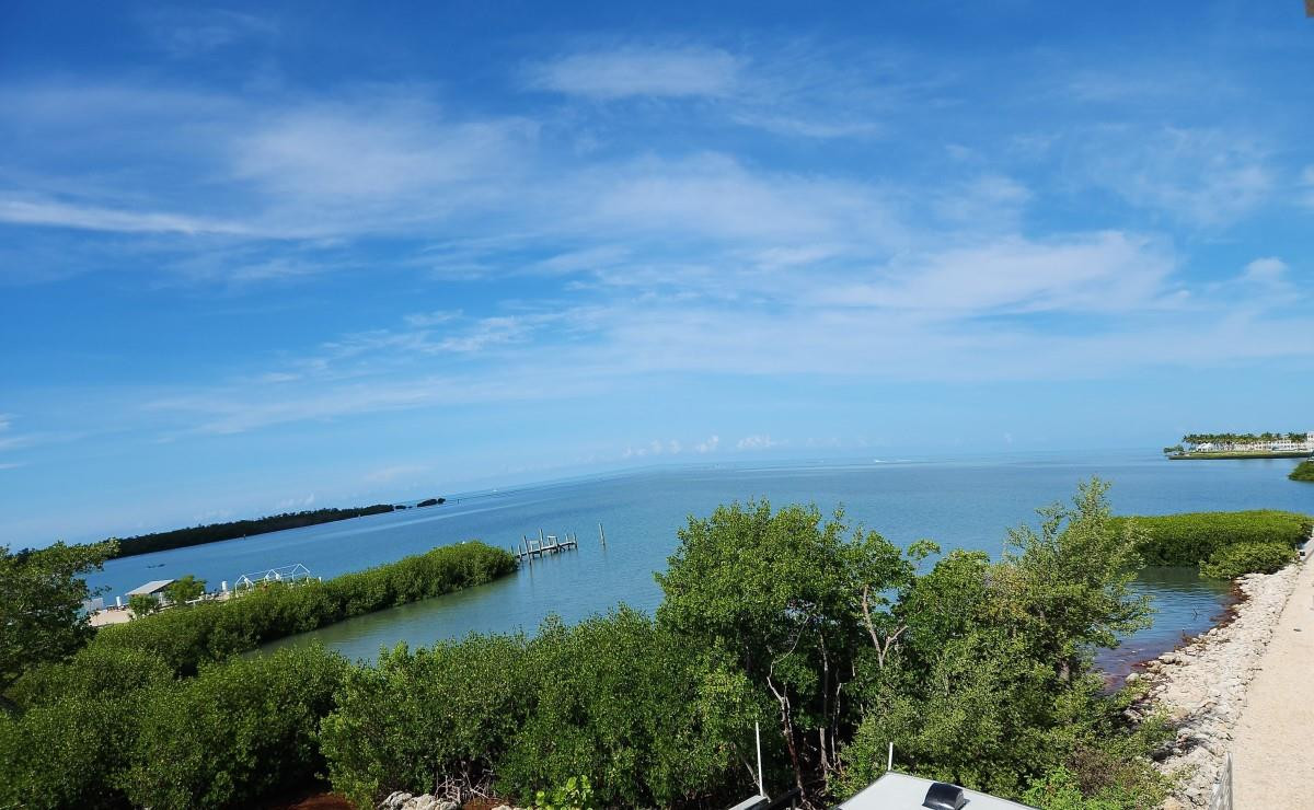 Riggs Sub - Residential