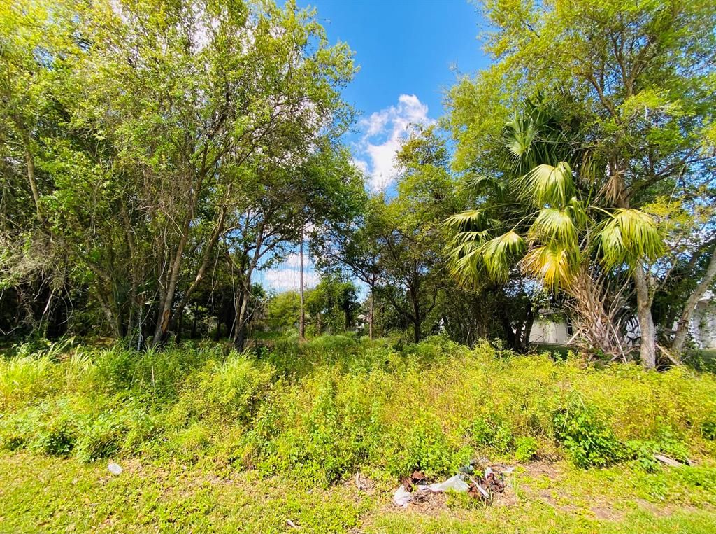 Photo of 2326 SW Freeman Street, Port Saint Lucie, FL 34953 (MLS # R10698552)