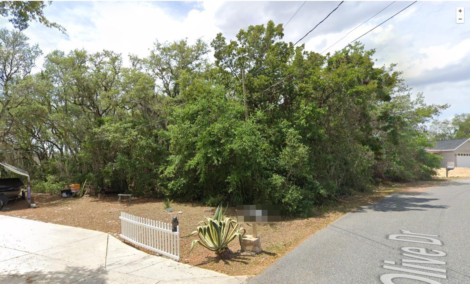 Secure this rare 0.27-acre lot on a quiet, paved street—no HOA, no deadline to build. Imagine mornings in a peaceful neighborhood with minimal traffic, paved roads, and newer homes rising around you. Just minutes from top schools, shopping, parks, and only a short drive to The Villages and Belleview.
Picture a life with space to grow—an outdoor oasis, private retreat, or a future-built dream home—this lot gives you full freedom. Opportunities like this don’t come often. Drive by today and start planning what comes next!