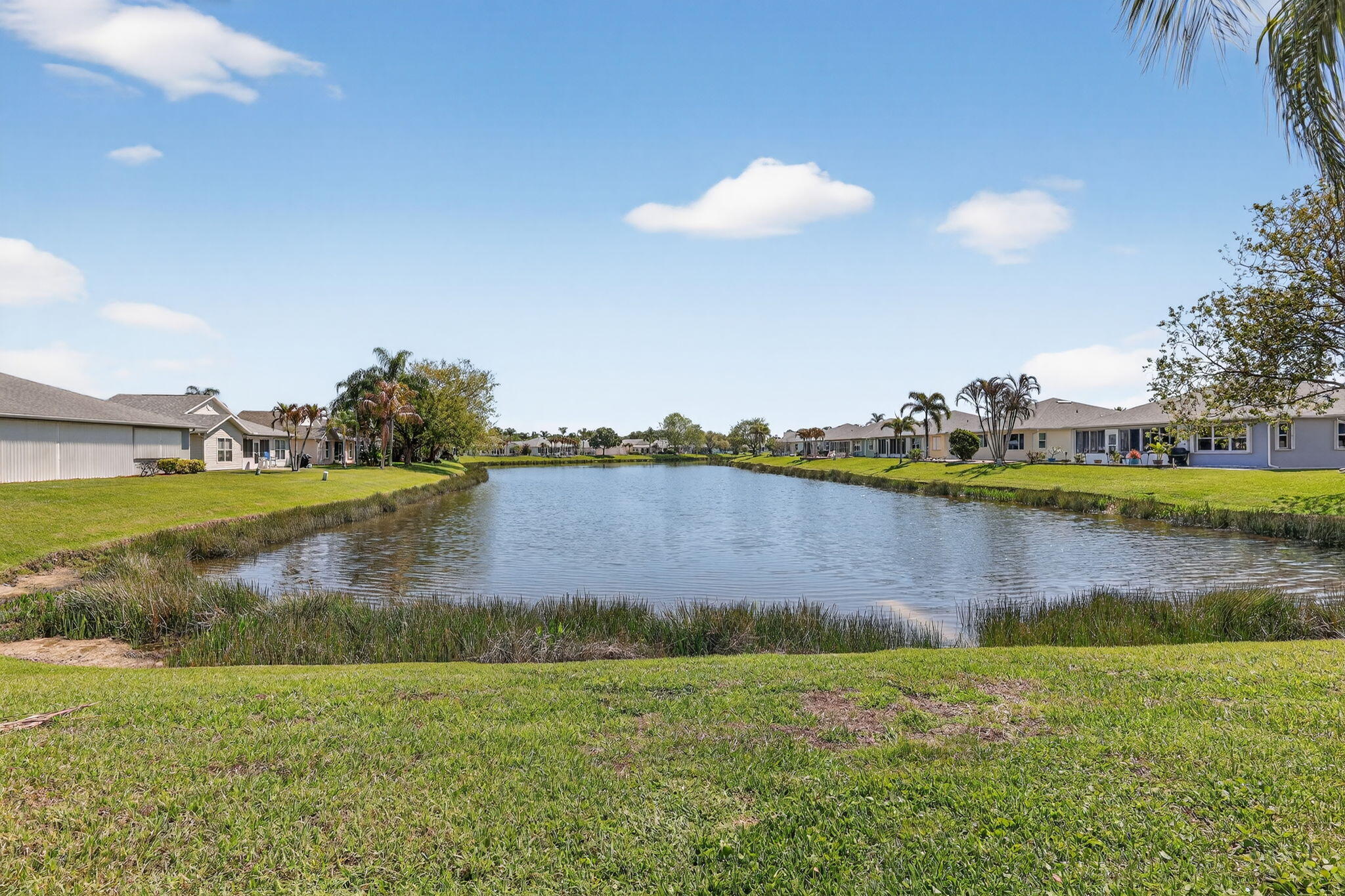 PALM GROVE SUBDIVISION - Residential