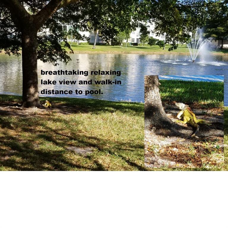 Eleuthera - Residential