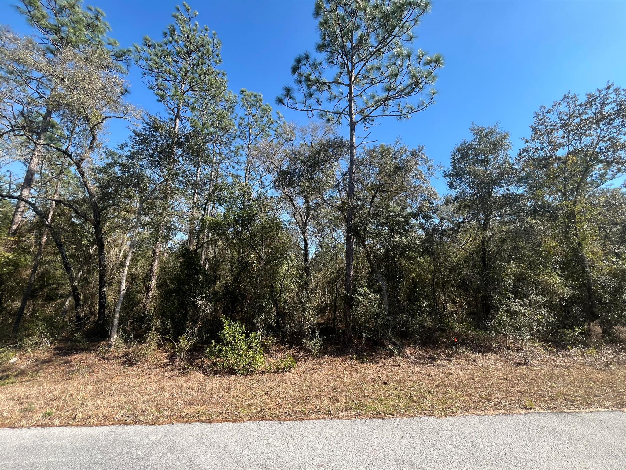 Build your dream house on this beautiful one-acre lot in desirable Rainbow Lakes Estates in Dunnellon with No HOA. New and existing homes already in the area waiting for your home to be built. Electricity nearby making it easy to access power. Quiet neighborhood but minutes from shopping, doctors office, and restaurants in historic Dunnellon. The property is minutes from Rainbow Springs State Park where you can swim, snorkel, kayak, hike on nature trails, and bike ride. Lake Rousseau is nearby which is known for their bass. Private boat ramp available for the community. Not far from The New world Equestrian Center. Only 20 minutes to Crystal River & Gulf of Mexico, Inverness, and Ocala. Buying Land in Florida is a solid investment for your future profit. Neighbor lot 1060 SW BIG TREE RD