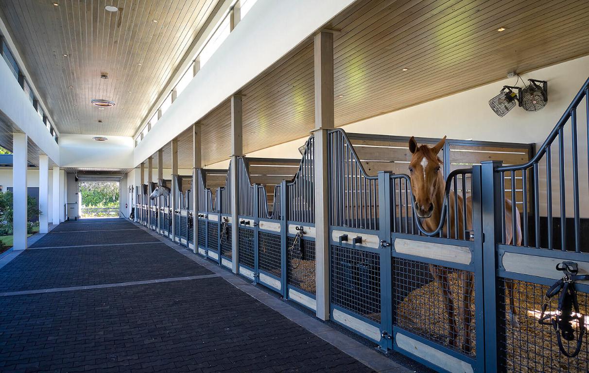 WELLINGTON PRESERVE - Residential