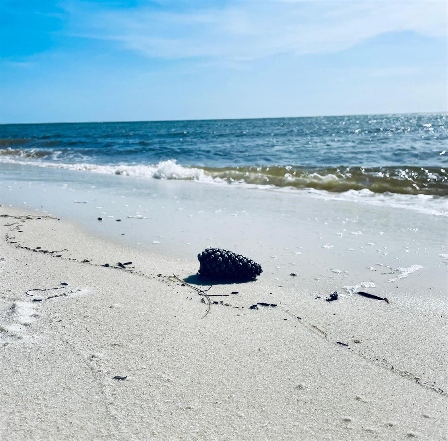 Windmark North - Residential Income