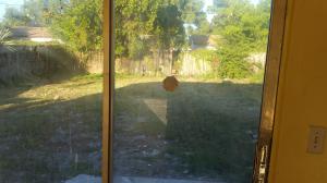 HI PINES PARK - Residential