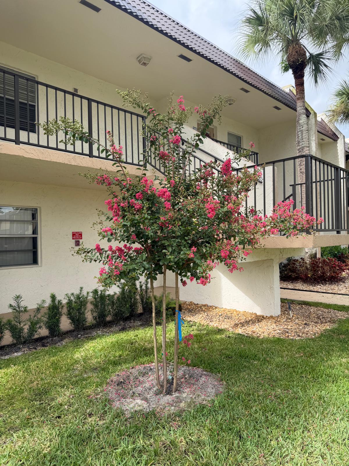 150 Lake Meryl Drive 247