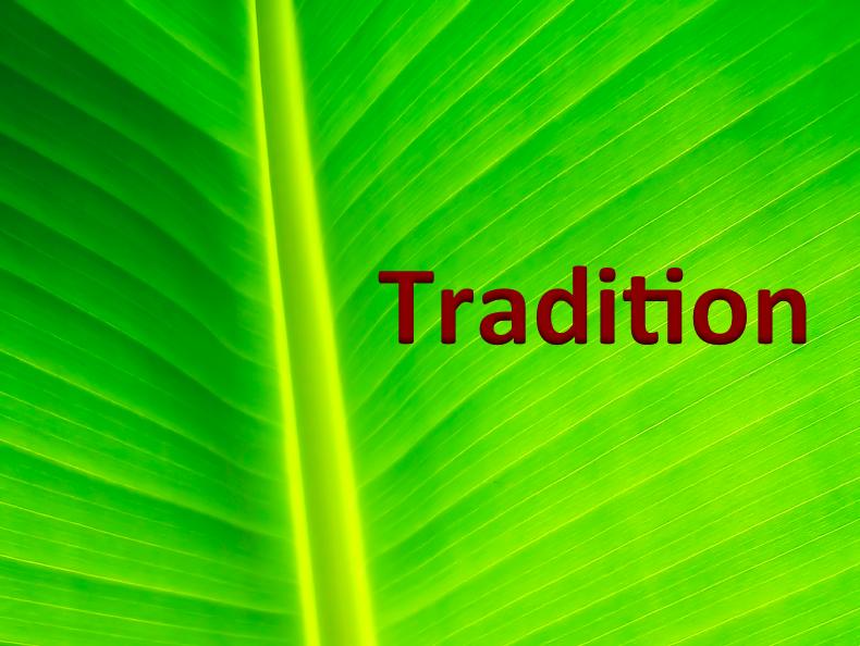 TRADITION PLAT NO 3 - Residential