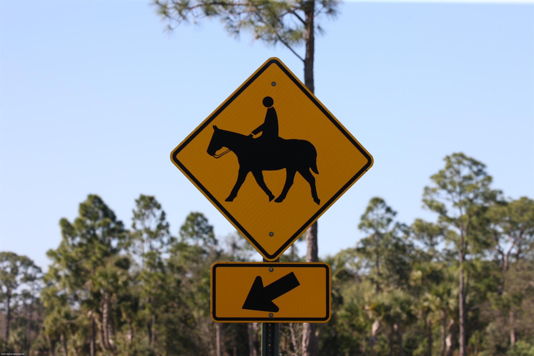 REYNOLDS RANCH PUD - Residential