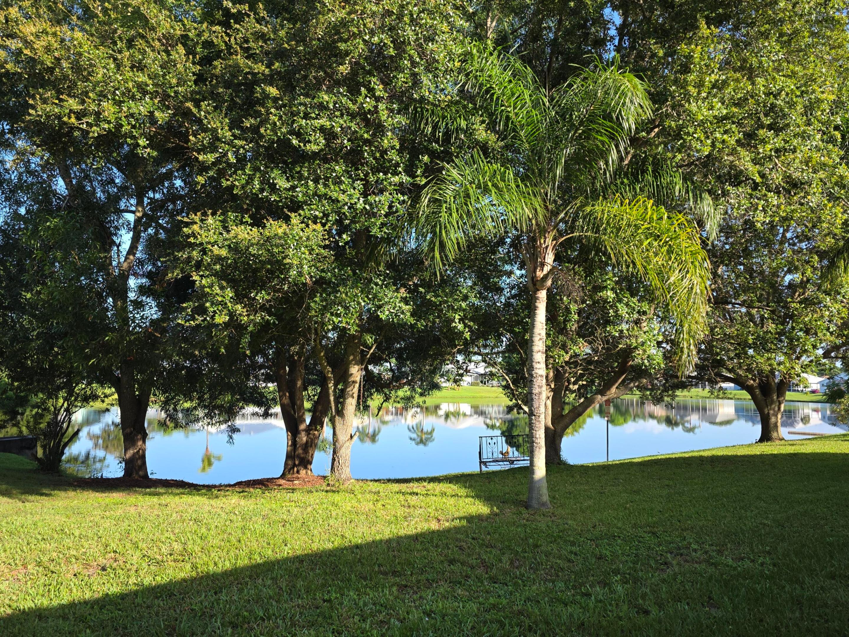 OLEANDER PINES - Residential