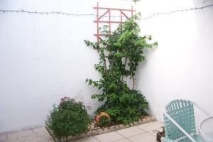 LIMETREE CONDO - Residential