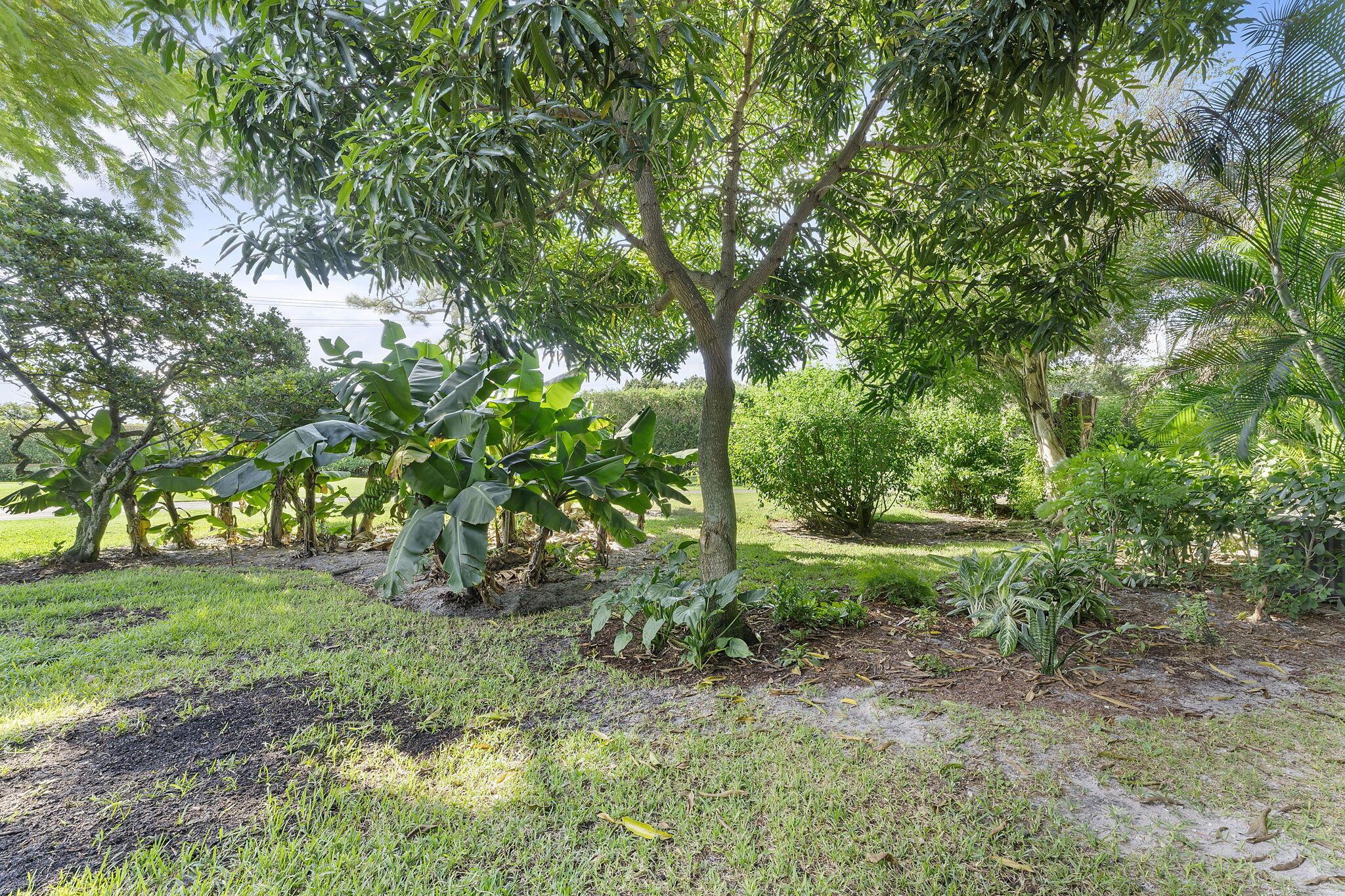 LA MIRADA AT BOCA POINTE - Residential