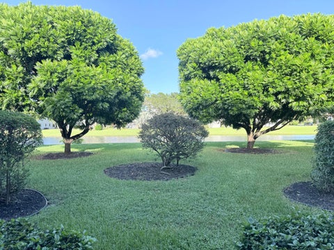 Tiny photo for 43 TILFORD C, Deerfield Beach, FL 33442 (MLS # B26084160)