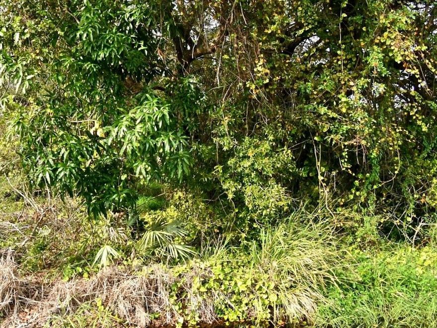 This spacious vacant lot located in the lovely Sunland Gardens community, offers endless possibilities for residential or investment opportunities.  The property is perfectly situated in a well-established neighborhood with easy access to local amenities, including shopping, dining, and schools. The lot's convenient location also provides quick access to major highways and the beautiful Florida coastline, making it an ideal spot for building your dream home or developing a rental property. Don't miss out on this exceptional opportunity!