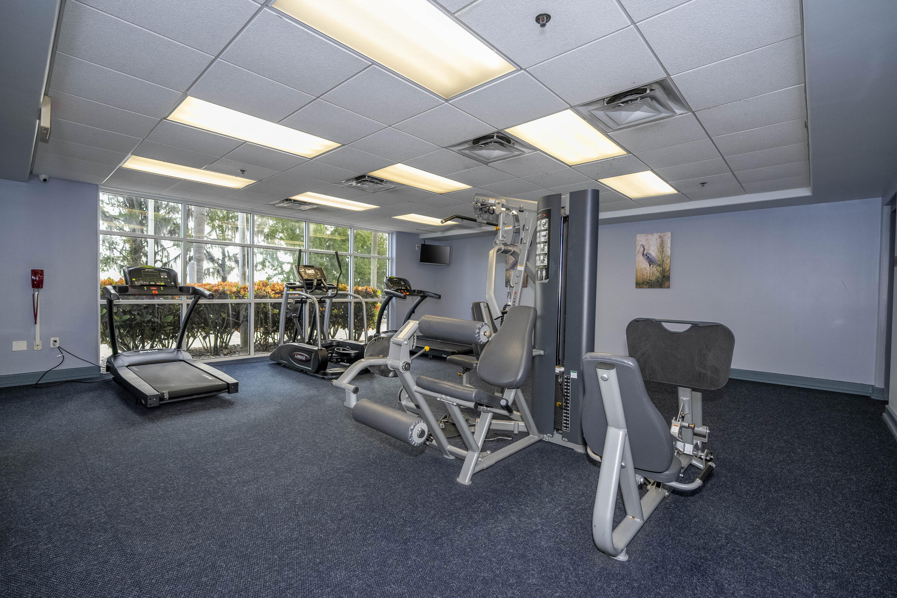 Blue Heron Beach Resort - Residential