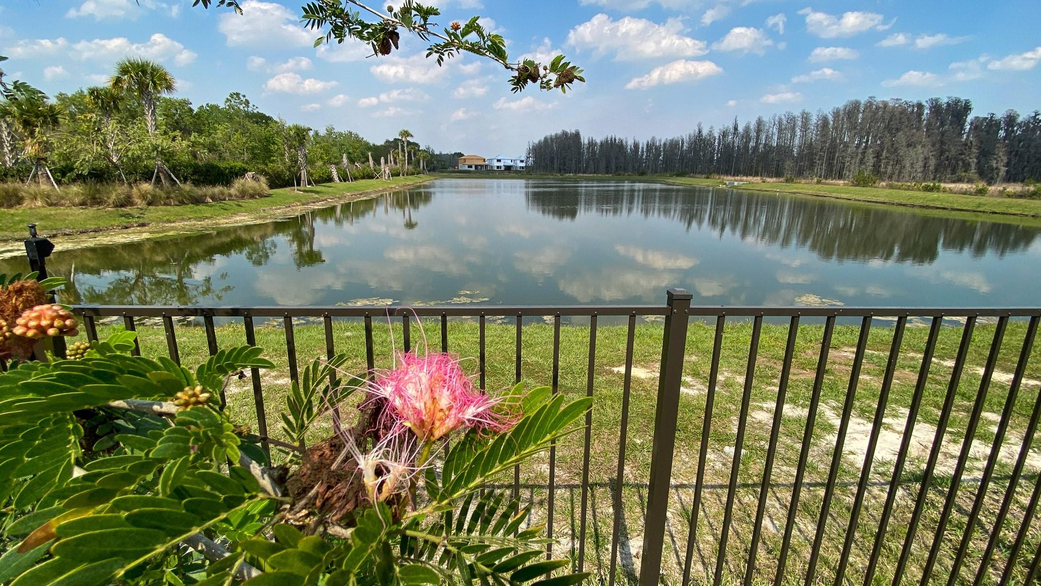 Winding Ridge Phase 4 - Residential