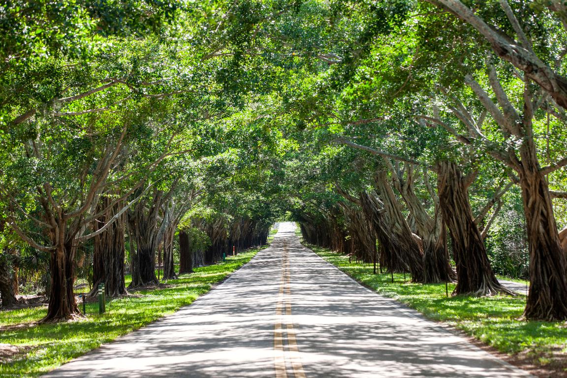 JUPITER ISLAND - Residential