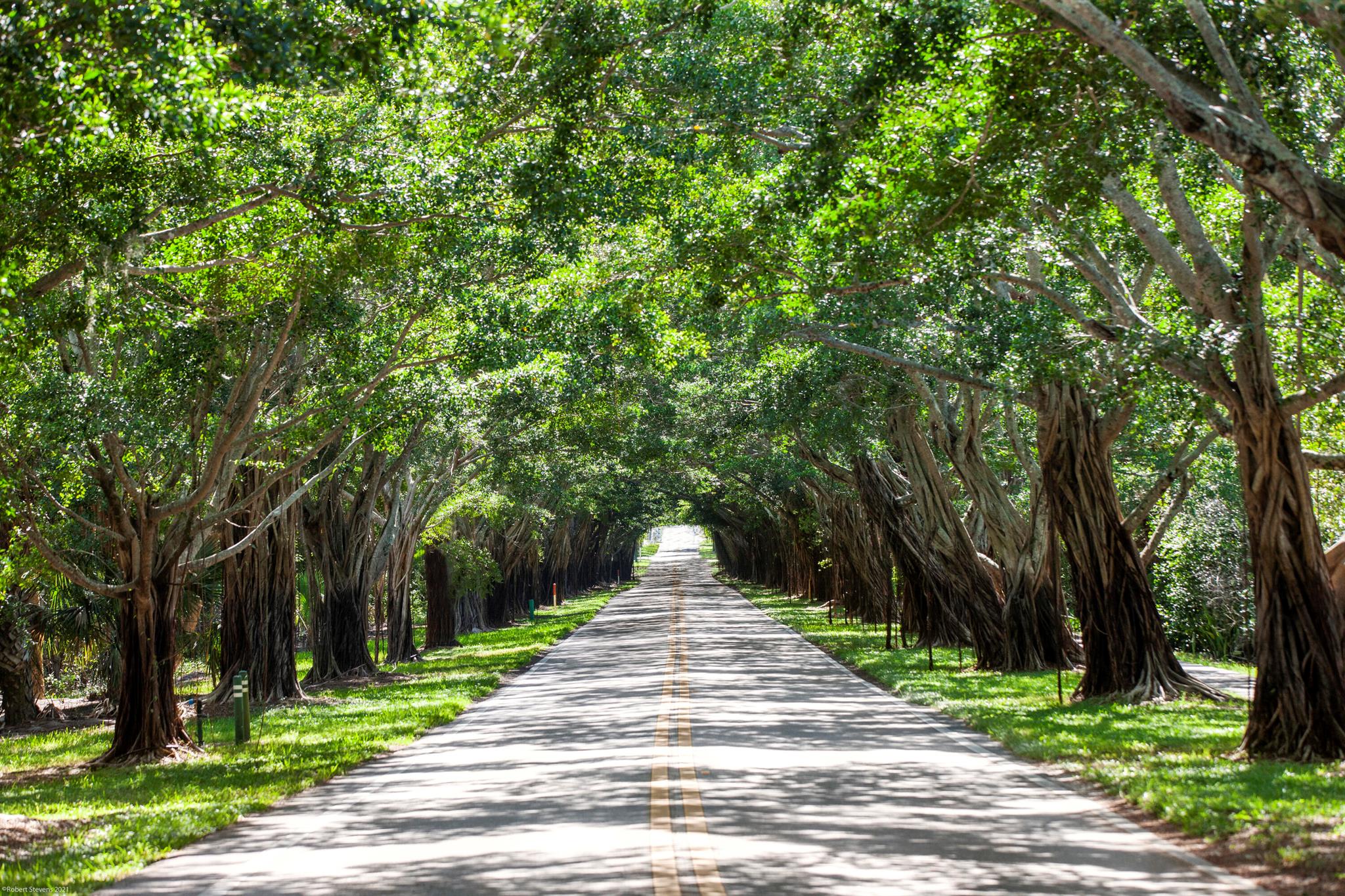JUPITER ISLAND - Residential