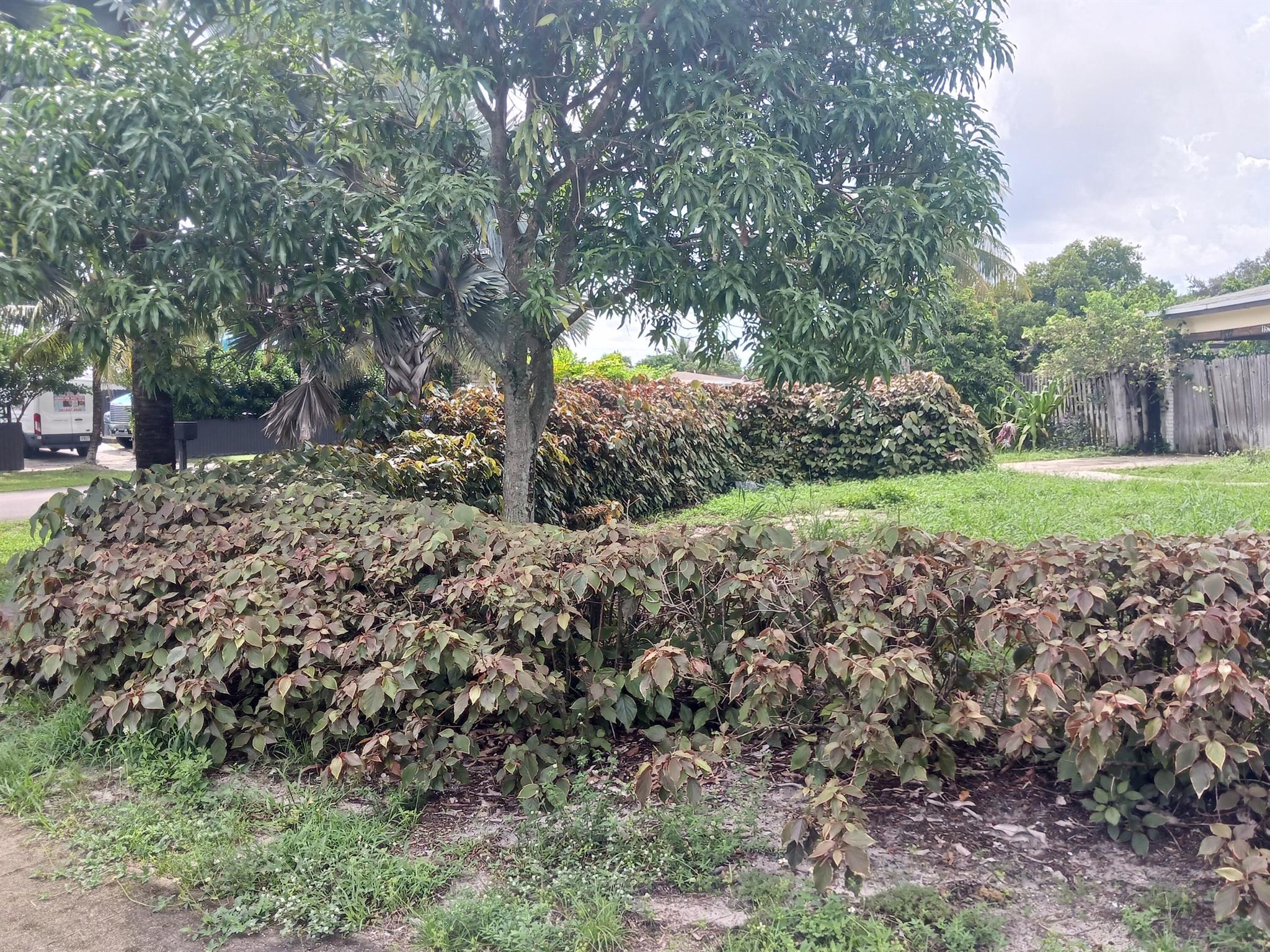 1527 Live Oak Drive