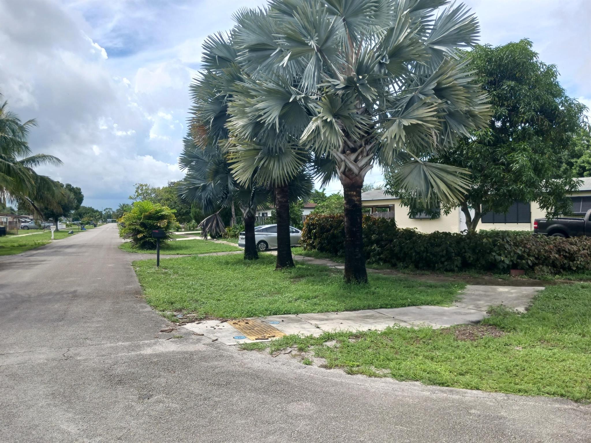 1527 Live Oak Drive
