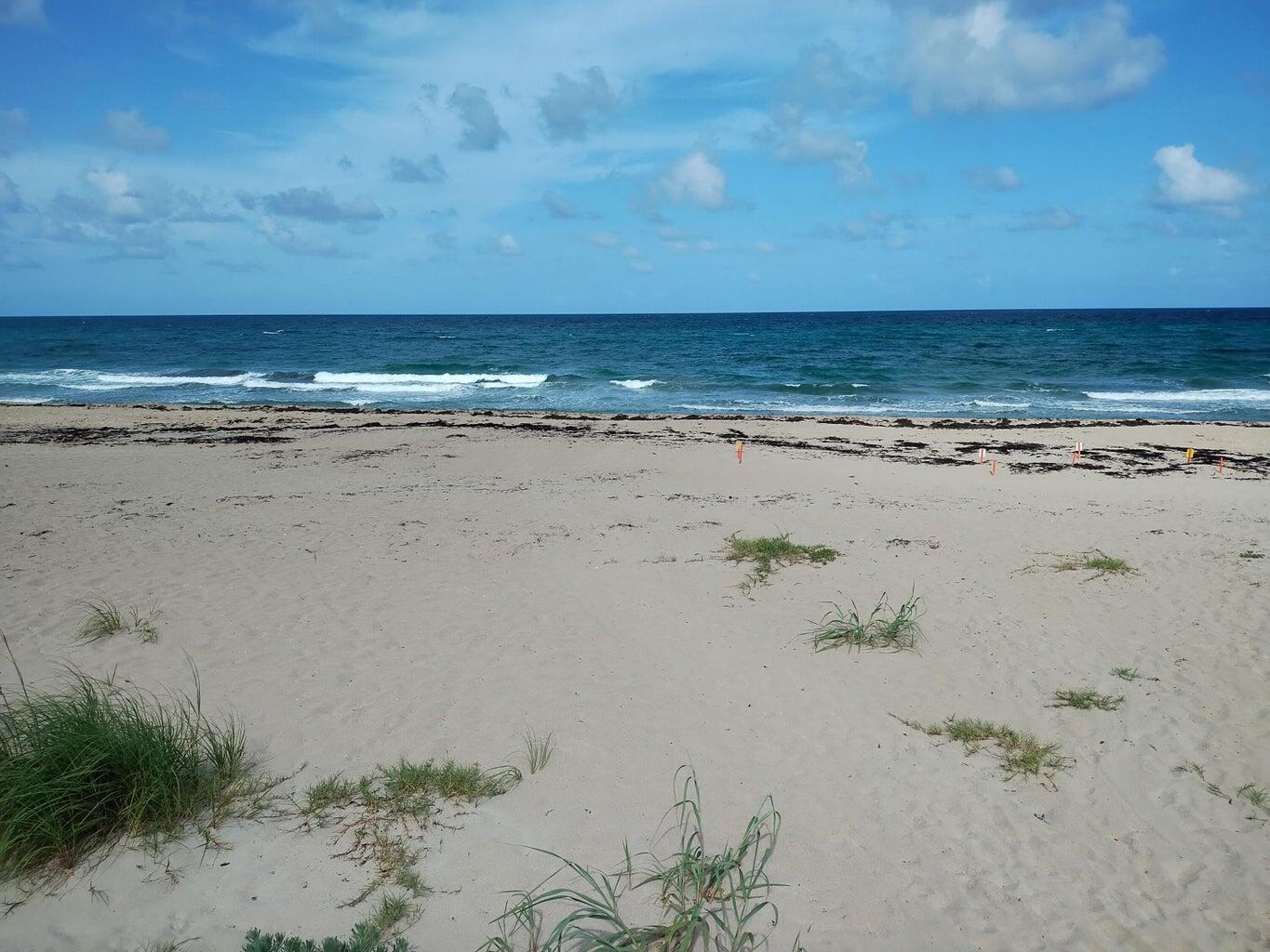 Ocean Manor - Residential Lease