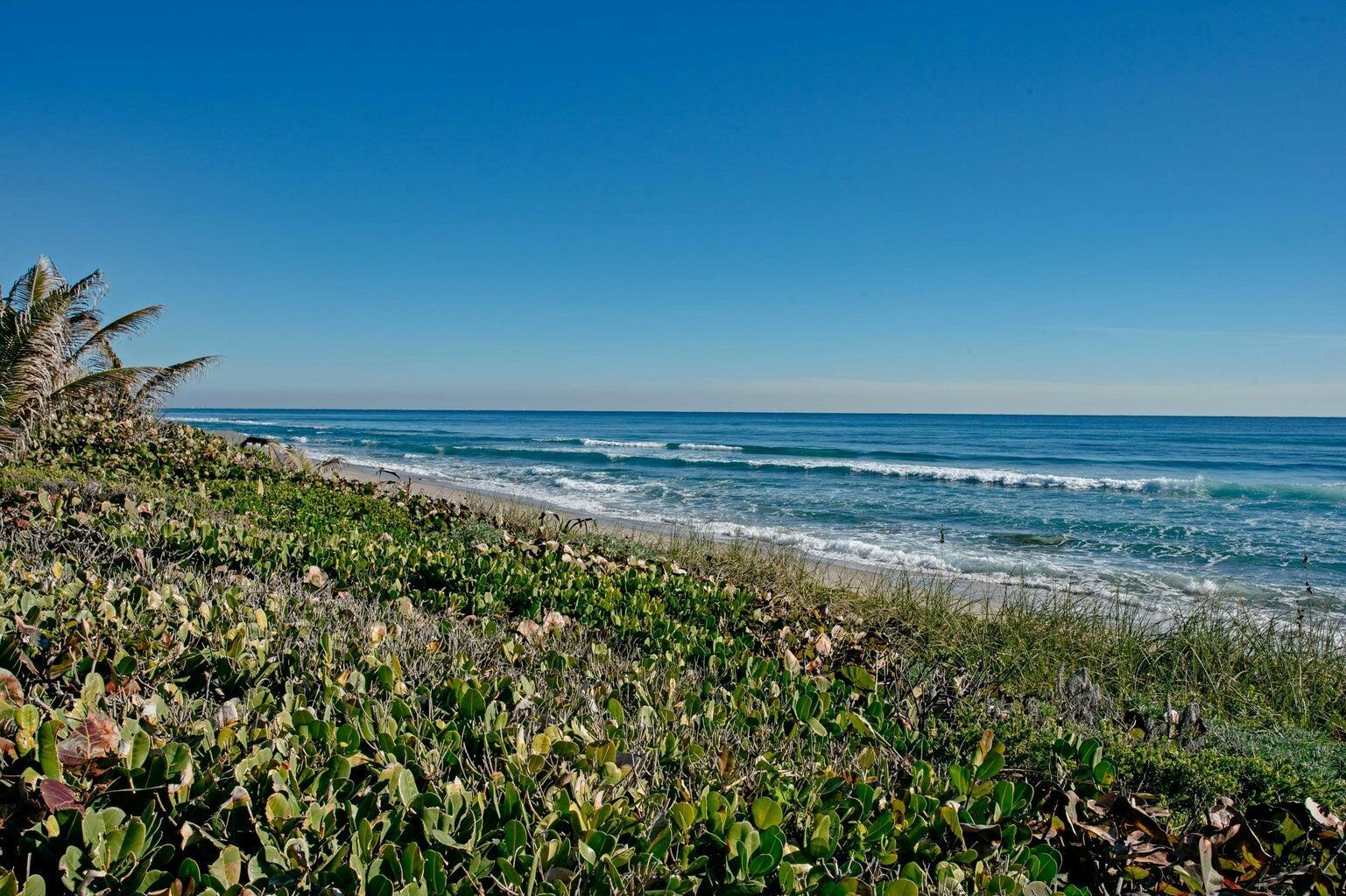 Ocean Manor - Residential Lease