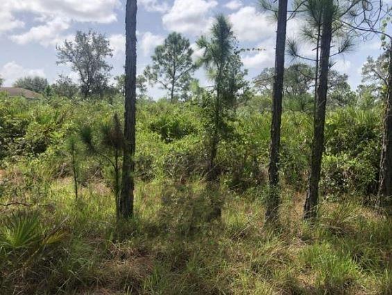 Owner Financing Available with only $1k down!
1/4 acre buildable Avon Park lot. Adjacent property also available for sale.
