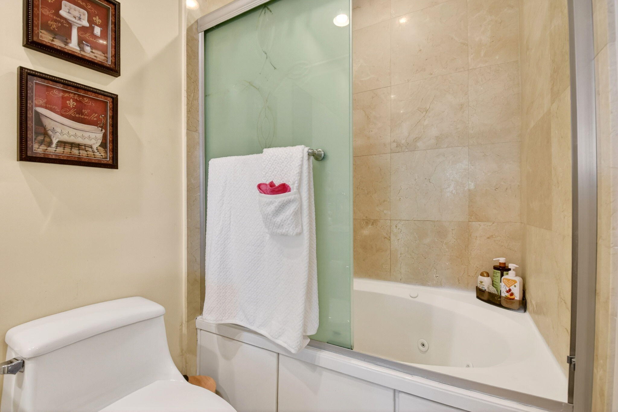 CITYPLACE SOUTH TOWER CONDO - Residential Lease