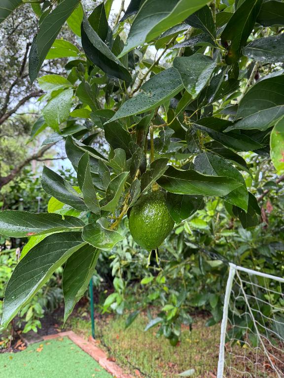 VERONA ESTATES - Residential