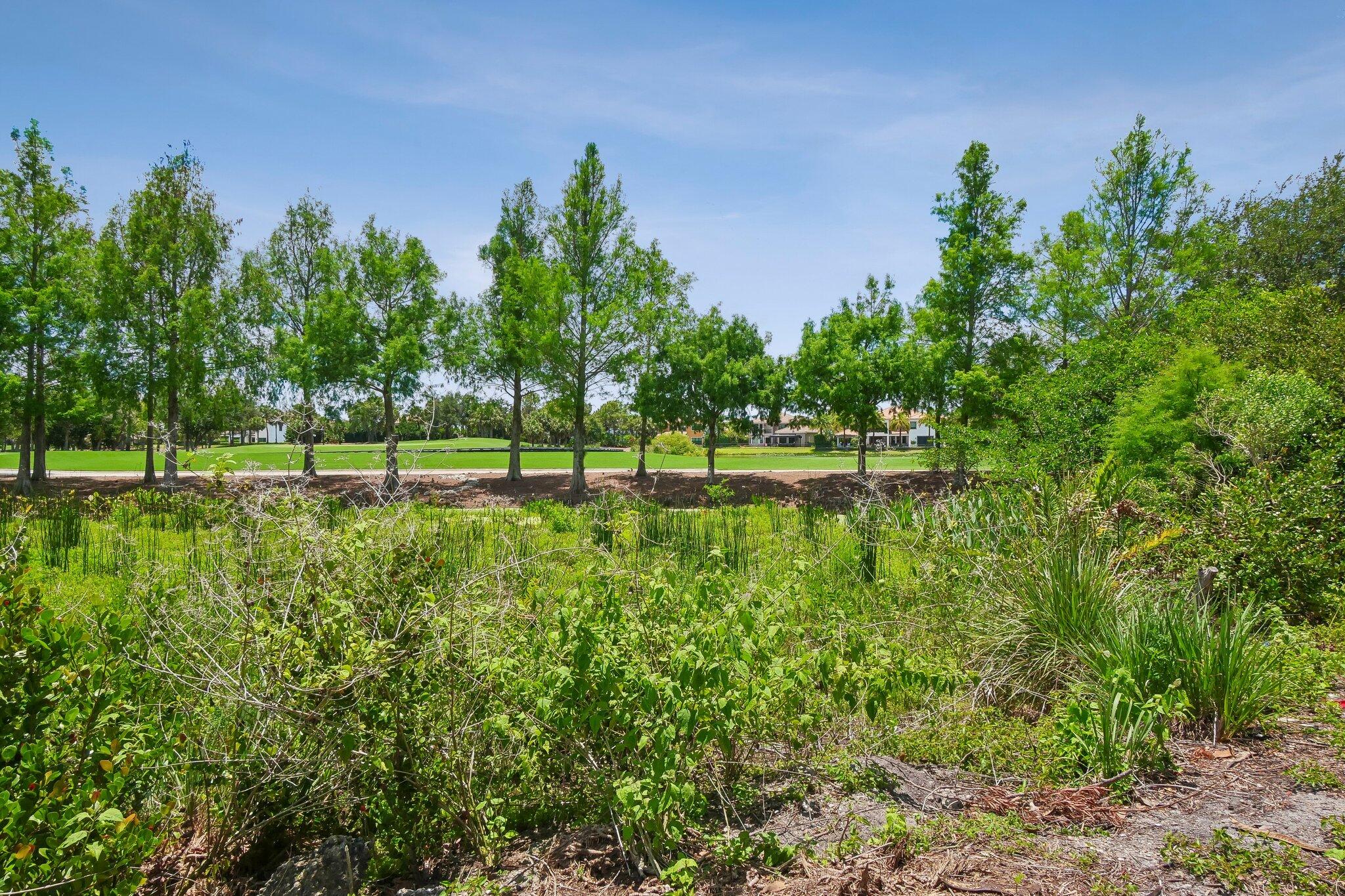 Parkland, Florida, 33076, United States, 4 Bedrooms Bedrooms, ,3 BathroomsBathrooms,Residential,Active,2042067