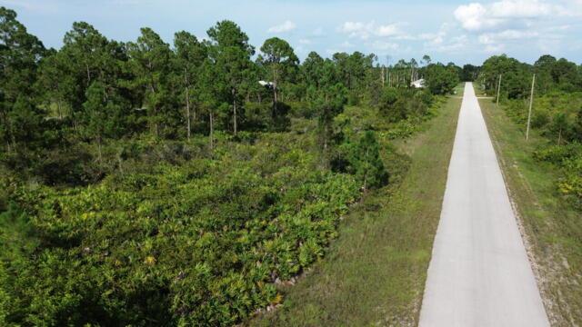 1115 Chiefland Street E