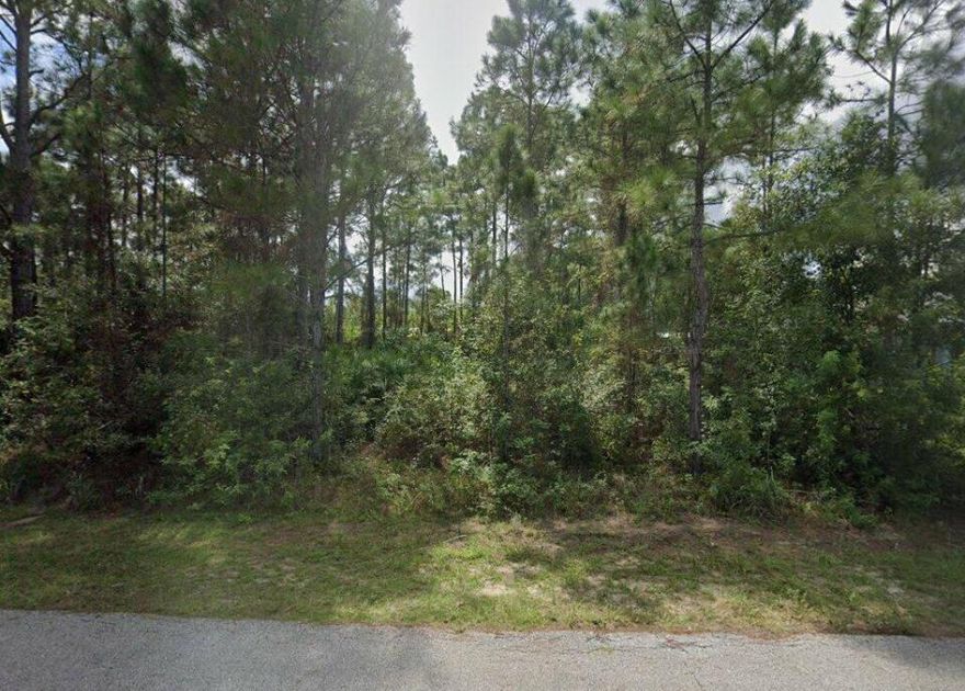 Build your dream home. Vacant residential rectangular raw site (80''x 150'') with All utilities available.  Frontage and access along both main and back road (see plat).