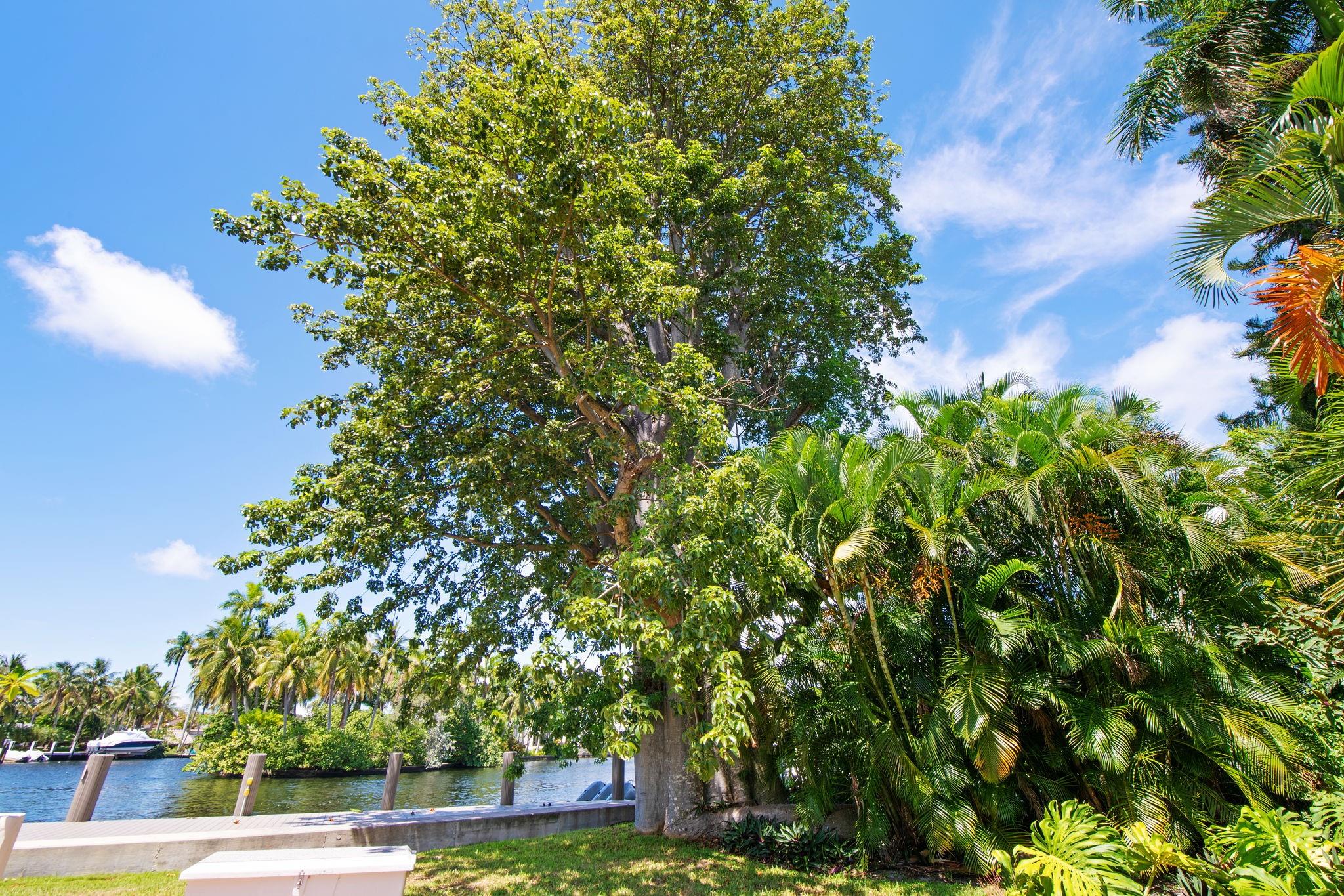 Ft Lauderdale B-40 D - Residential