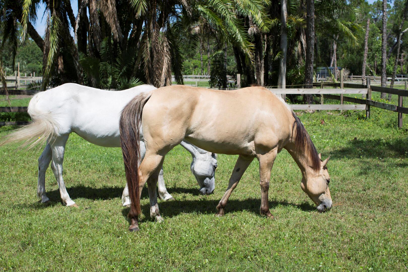 Jupiter Farms - Residential