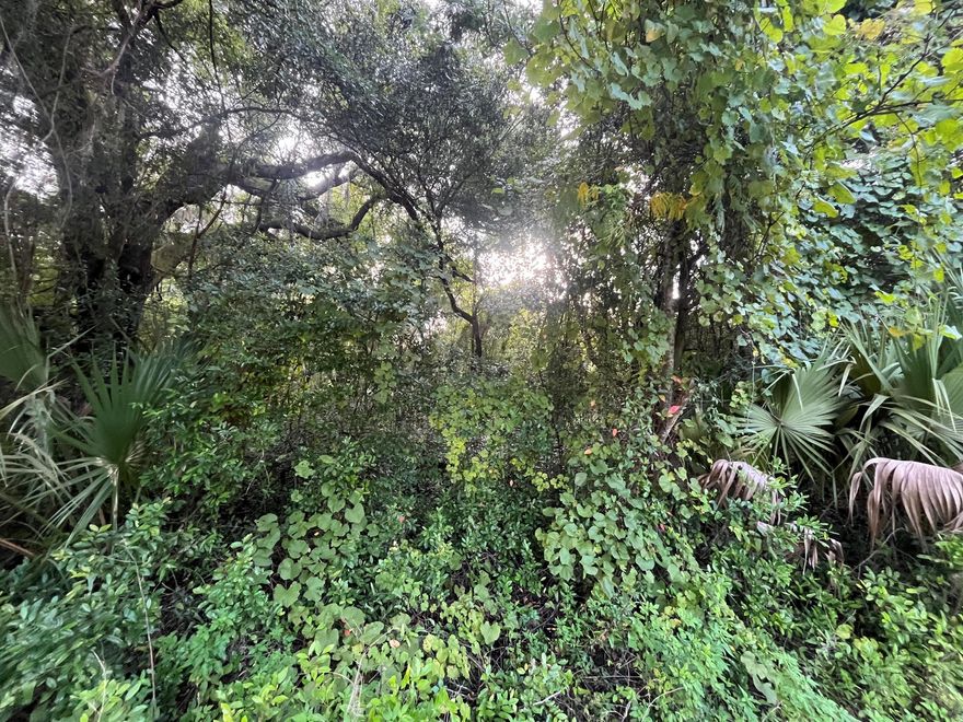 Owner financing is available with only $800 down! Build or bring your mobile home to this stunning lot in the growing city of Interlachen. With power lines already in place, accessing electricity is a breeze. Located within minutes of schools, restaurants, diners, and parks. An easy commute to Gainesville or Palatka and less than an hour from the beach. Investing in land in Florida is a wise choice for your future, whether you're looking to build your dream home, a vacation getaway, a rental property, or simply let the land appreciate as a valuable long-term asset to resell at a profit in the future.