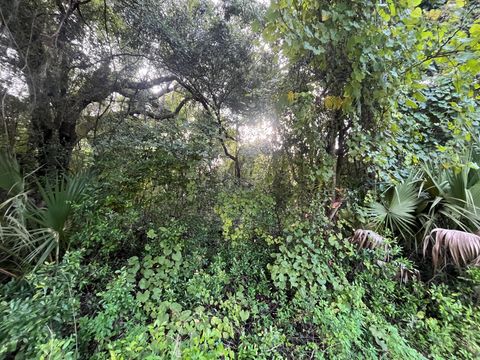 915 Annette Avenue Interlachen FL 32148