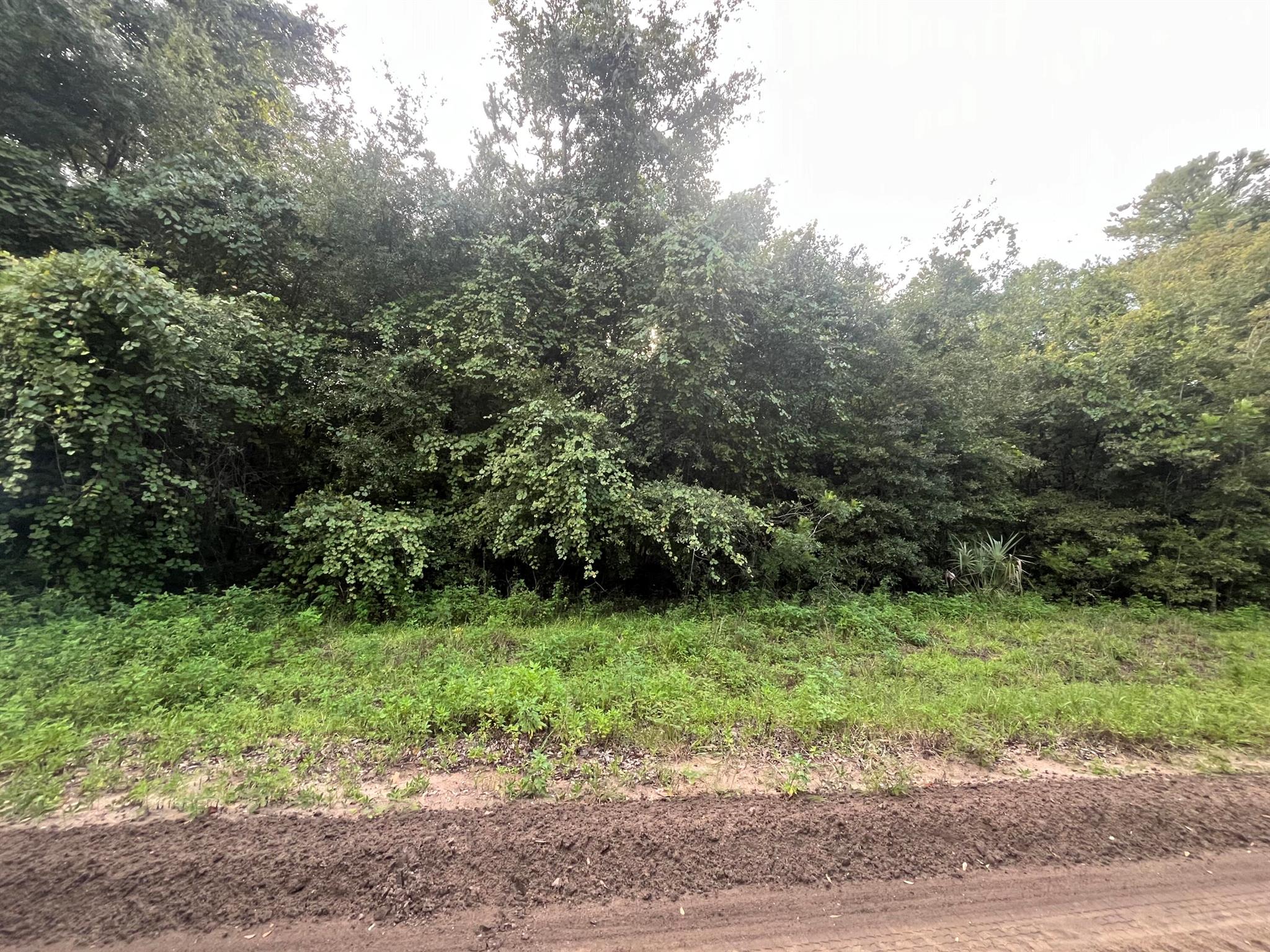 INTERLACHEN LAKES ESTATES - Land