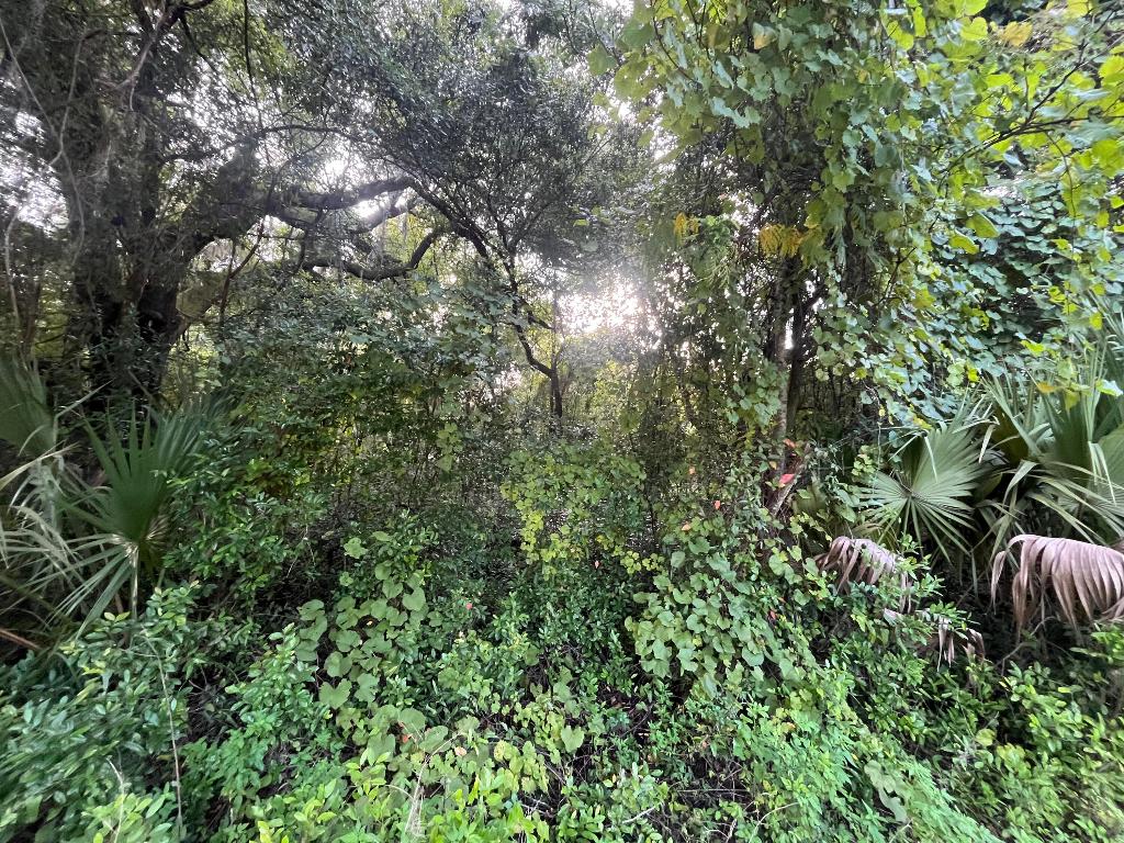 INTERLACHEN LAKES ESTATES - Land