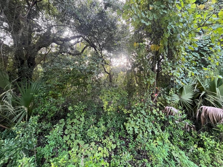 Owner financing is available! Build or bring your mobile home to this stunning lot in the growing city of Interlachen. With power lines already in place, accessing electricity is a breeze. Located within minutes of schools, restaurants, diners, and parks. An easy commute to Gainesville or Palatka and less than an hour from the beach. Investing in land in Florida is a wise choice for your future, whether you're looking to build your dream home, a vacation getaway, a rental property, or simply let the land appreciate as a valuable long-term asset to resell at a profit in the future.